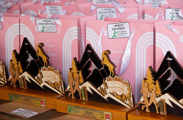 TEB Edukacja Bielsko-Biała uchwyciło ducha Biegu na Hrobaczą Łąkę